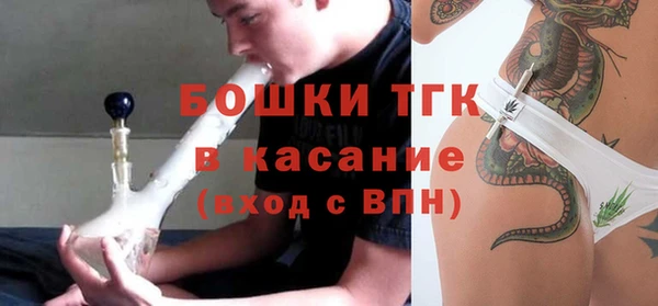 дживик Зеленодольск