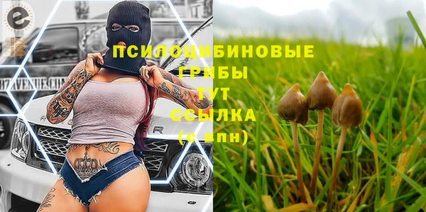 первитин Зерноград